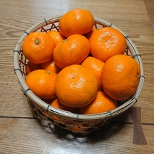 大津四号販売中！！！ – 山口県周防大島 にいうち農園